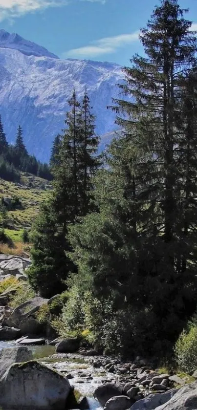 Tranquil mountain landscape with forest and blue sky.