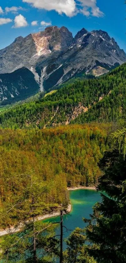 Lush green forest and mountains under a blue sky with turquoise lake.