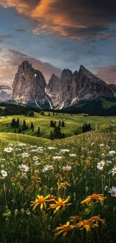 Stunning mountain landscape with vibrant flowers and dramatic sky.