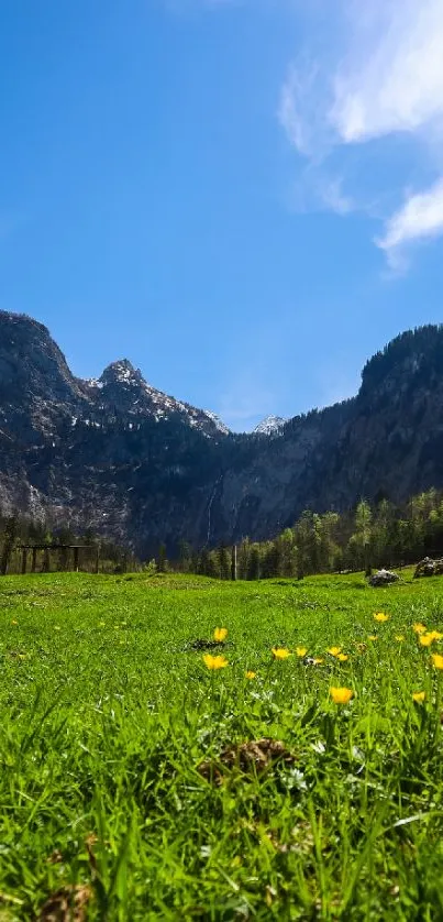 Beautiful mountain meadow with blue sky and green grass, perfect for nature wallpaper.