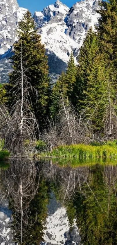 Snow-capped mountains reflecting in a tranquil lake surrounded by green forest.