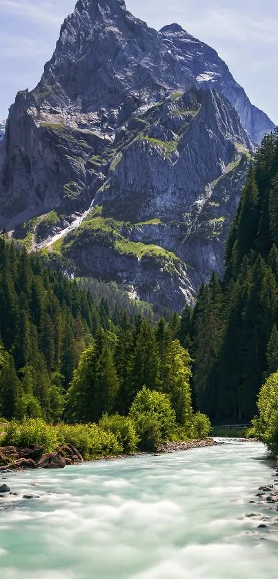 Majestic mountain river with lush forest background.