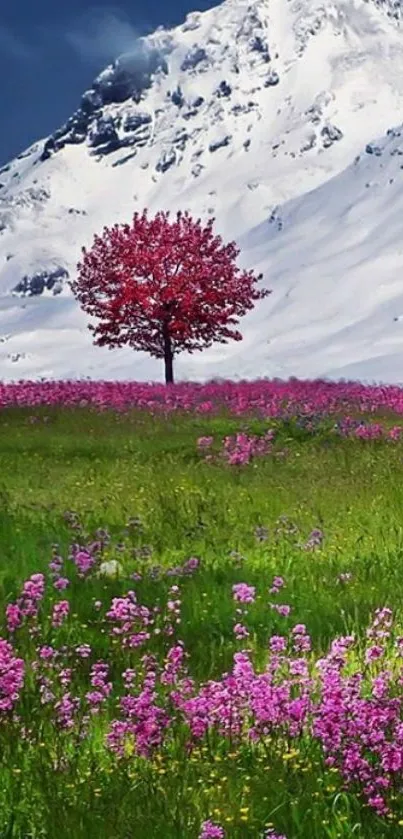 Snowy mountain with tree in flower field.