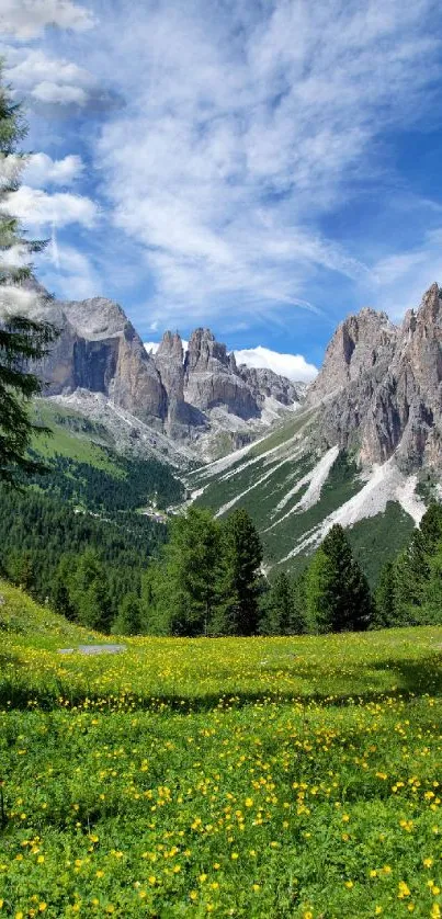 Vibrant mountain valley with wildflowers and a clear blue sky.