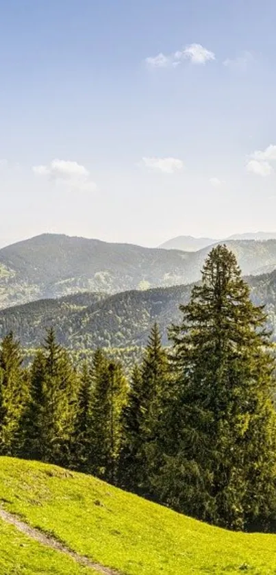 Mobile wallpaper of green mountains and forests under a blue sky.