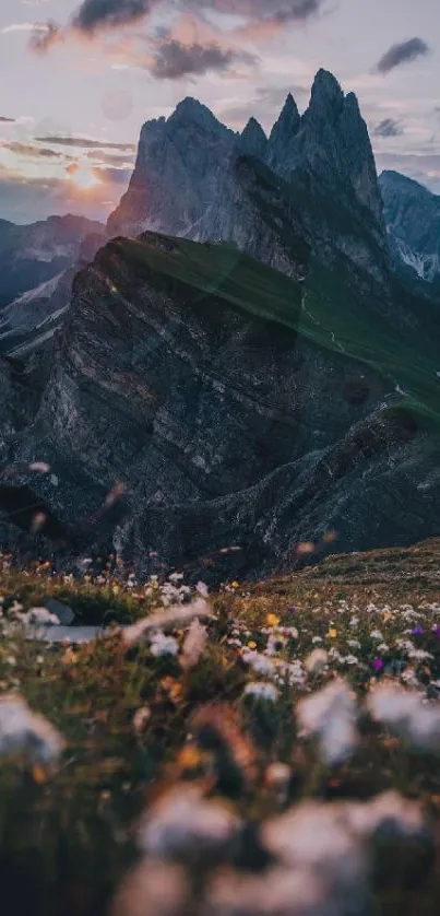 Jagged mountain peaks at sunset with wildflowers in foreground.