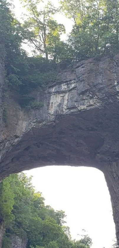 Natural rock arch surrounded by lush greenery and trees.