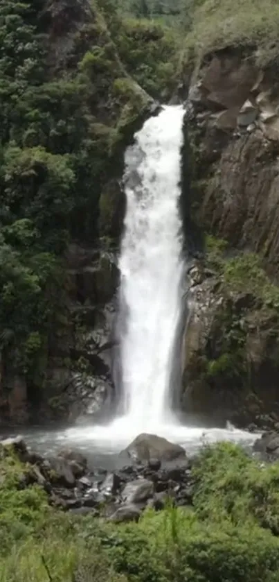 Majestic waterfall with lush greenery backdrop.