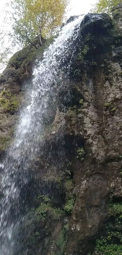 Waterfall cascading down a rocky cliff surrounded by greenery.