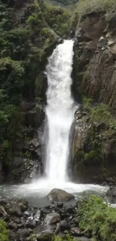 Majestic waterfall amidst lush greenery on mobile wallpaper.