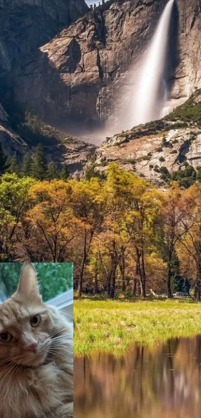 Majestic waterfall with a serene cat inset against a lush landscape.