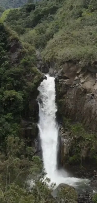 Majestic waterfall amidst lush green landscape.