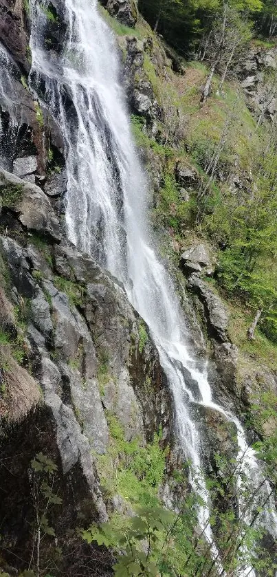 Beautiful waterfall cascading down rocks surrounded by lush green forest.