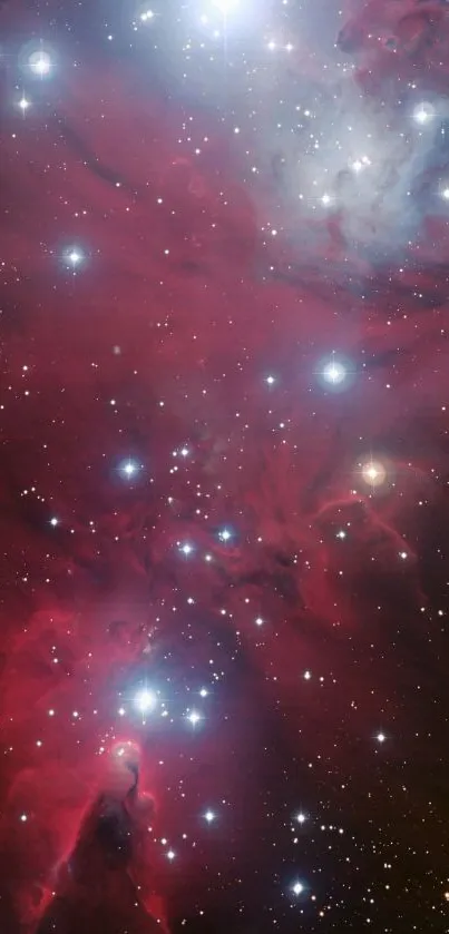 Stunning red nebula with glowing stars, perfect for astronomy fans.