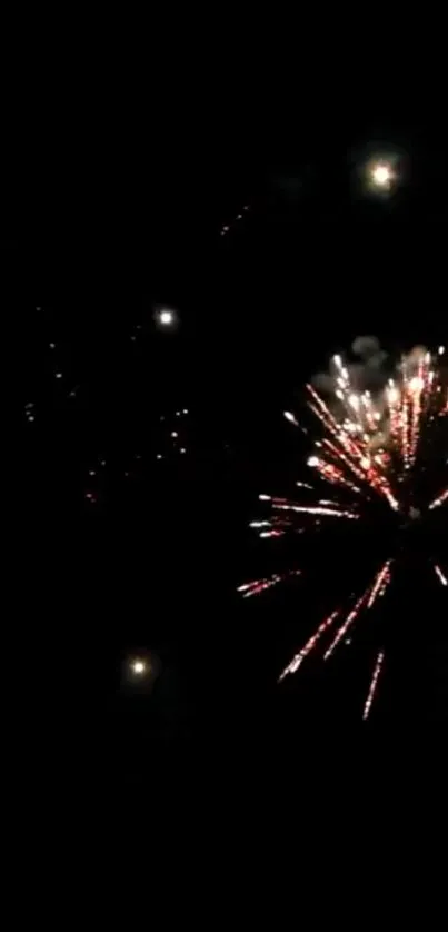 Vibrant fireworks explode in a dark night sky.