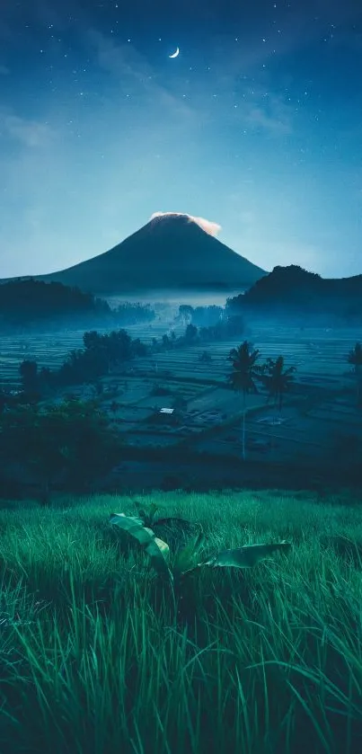 Majestic blue-toned night view of a distant mountain under stars with lush foreground.