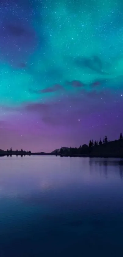 Phone wallpaper with aurora reflecting over a serene lake under a starry night sky.