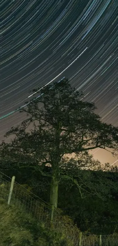 Star trails forming patterns over trees and landscape at night.