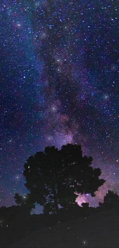 Silhouette against a starry night sky with the Milky Way galaxy visible.