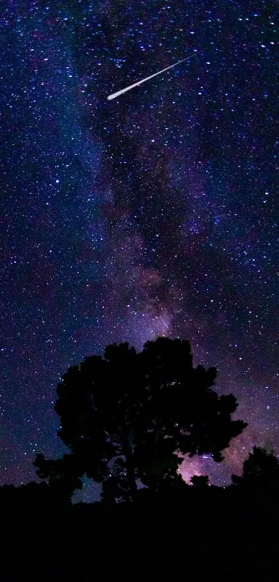 Silhouetted trees under a starry night sky with the Milky Way.