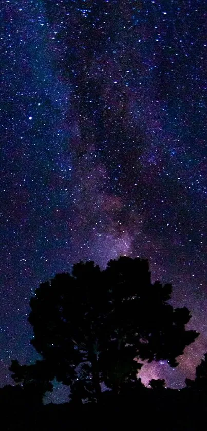 Starry night sky with tree silhouette and galaxy view.