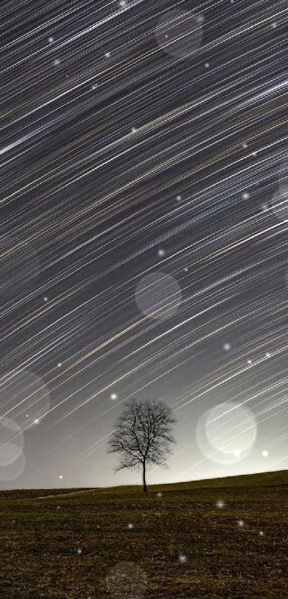 Night sky with star trails over a lone tree in serene landscape.