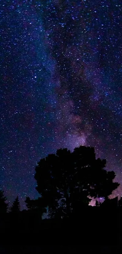 Starry night sky with Milky Way visible.