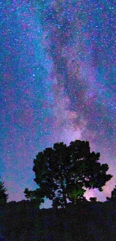 Silhouette of trees under a vibrant Milky Way night sky.