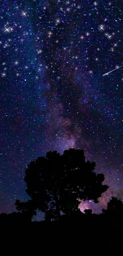 Starry night sky with silhouetted trees under a galaxy view.