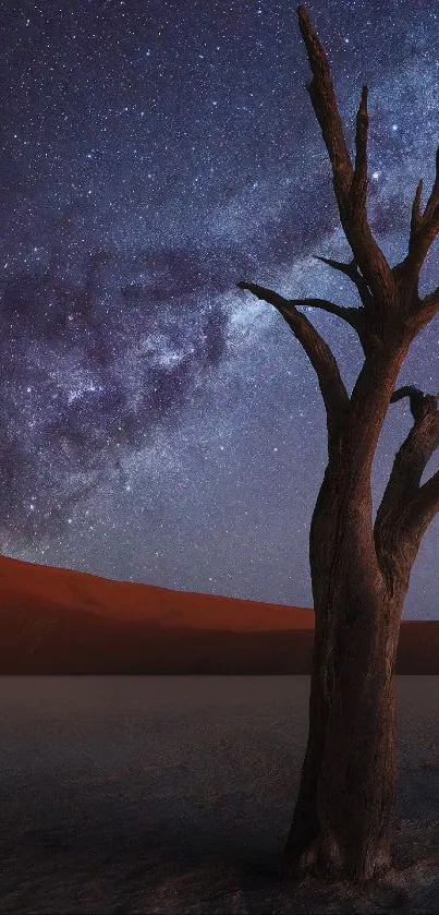 Starry night sky with lone tree in desert landscape wallpaper.