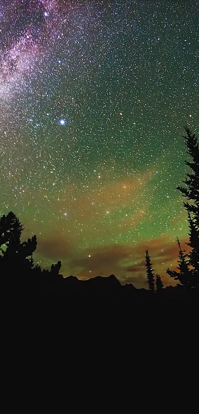 Beautiful night sky with stars and trees silhouette.