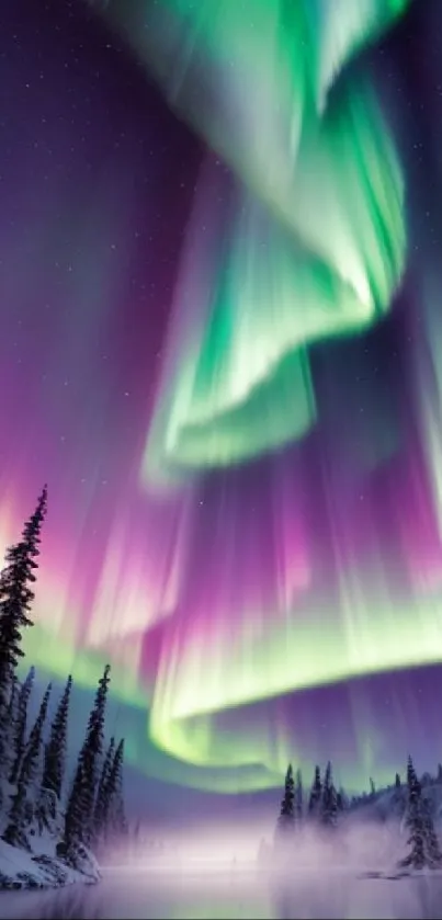 Vibrant green and purple aurora over snowy landscape with pine trees.