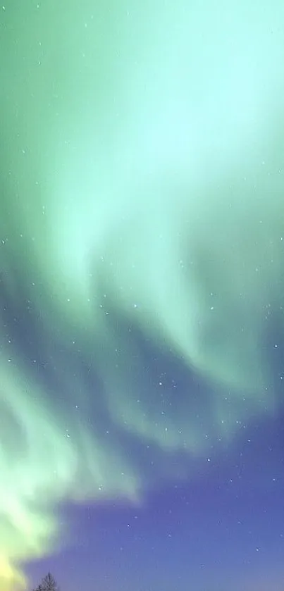 Stunning Northern Lights Display - Free Download