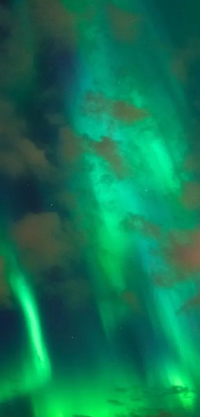 Vibrant green Northern Lights illuminating the night sky in a stunning display.