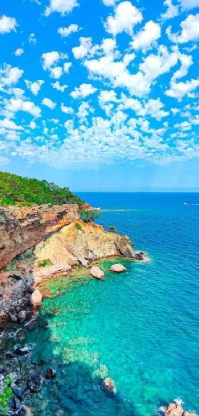 Vibrant ocean cliff with blue sky and lush greenery in stunning wallpaper.