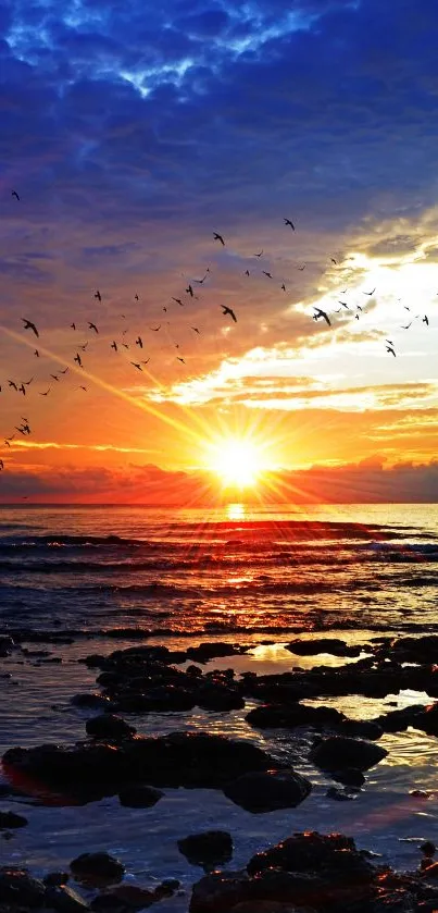 A stunning ocean sunset with birds silhouetted against a vibrant blue and orange sky.