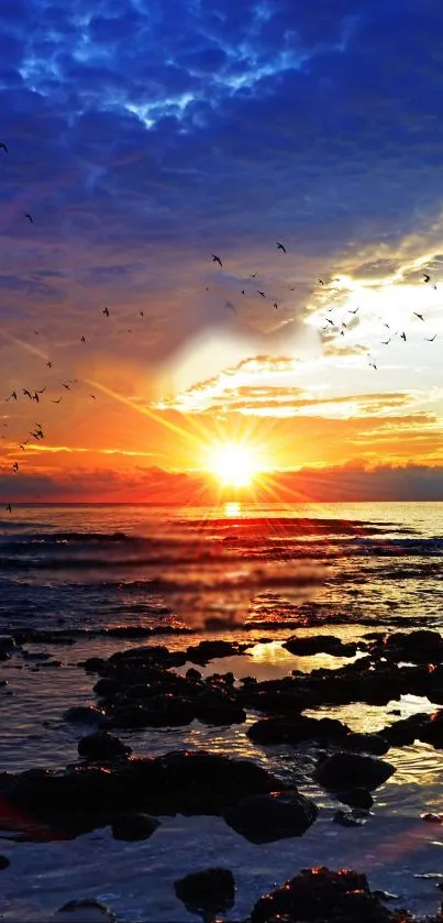 Serene sunrise over ocean with flying birds and colorful sky.