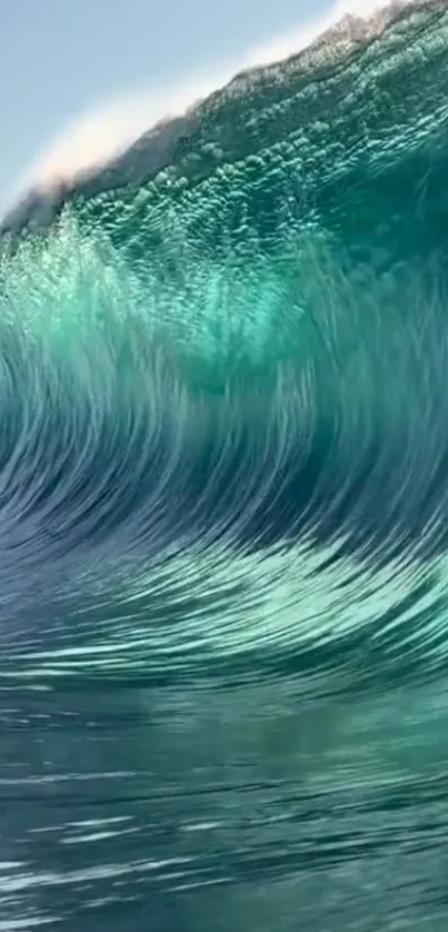 A stunning large ocean wave captured in motion.