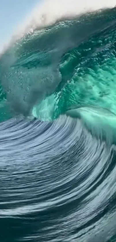 Captivating ocean wave rising beautifully.