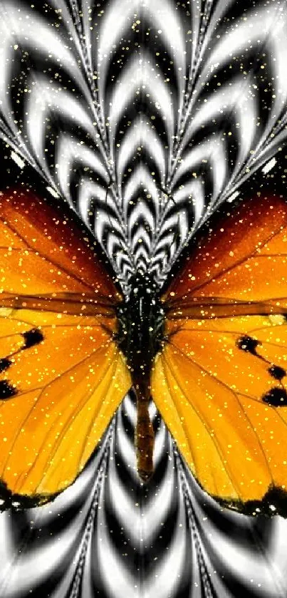 Orange butterfly with black-and-white background.