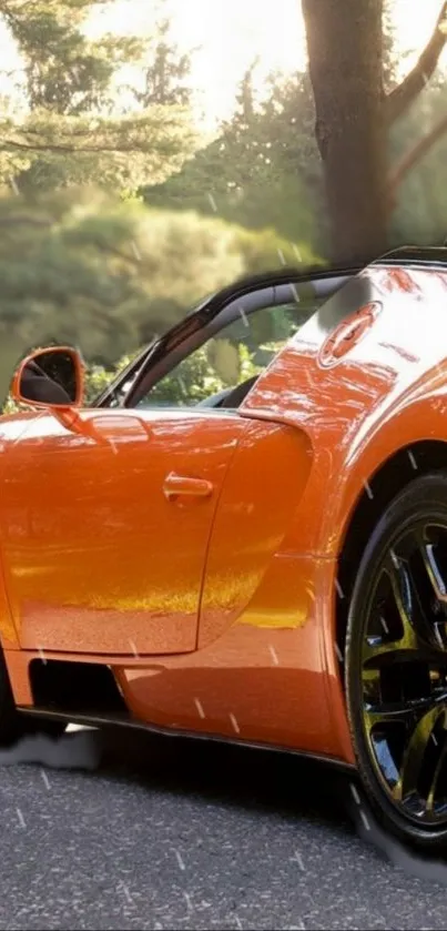 Vibrant orange sports car amidst forest setting.