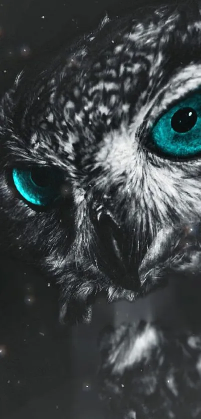 Close-up of an owl with vibrant teal eyes against a dark background.