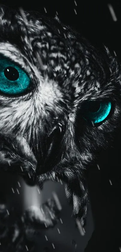 Close-up of an owl with teal eyes against a dark background.