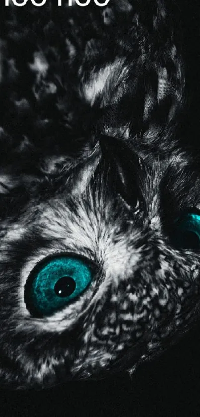 Close-up of an owl with striking turquoise eyes set against a black background.