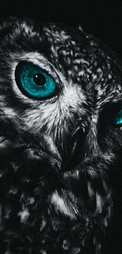 Owl with turquoise eyes in a dark, mysterious setting.