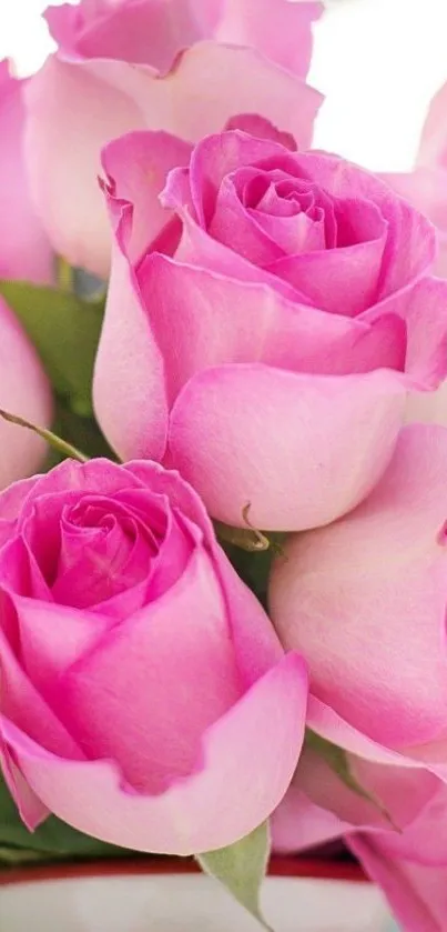 Beautiful pink rose bouquet wallpaper for mobile.