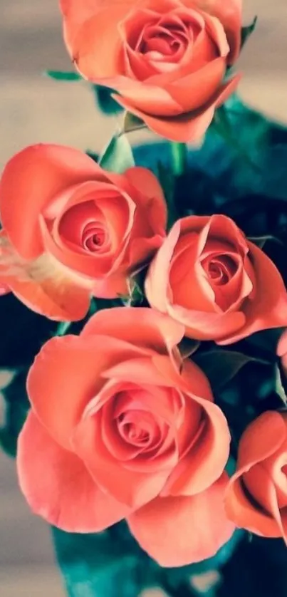 Close-up of pink roses with lush green leaves in a floral display.