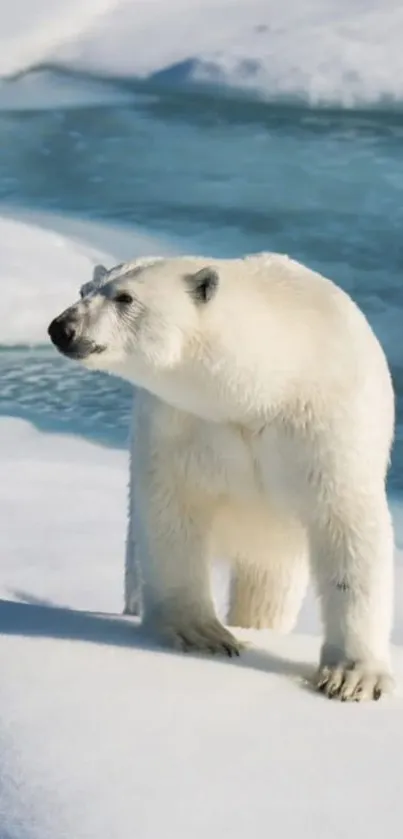 Polar bear standing on Arctic ice in a serene landscape.