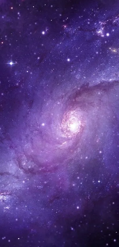 Beautiful purple galaxy mobile wallpaper with stars