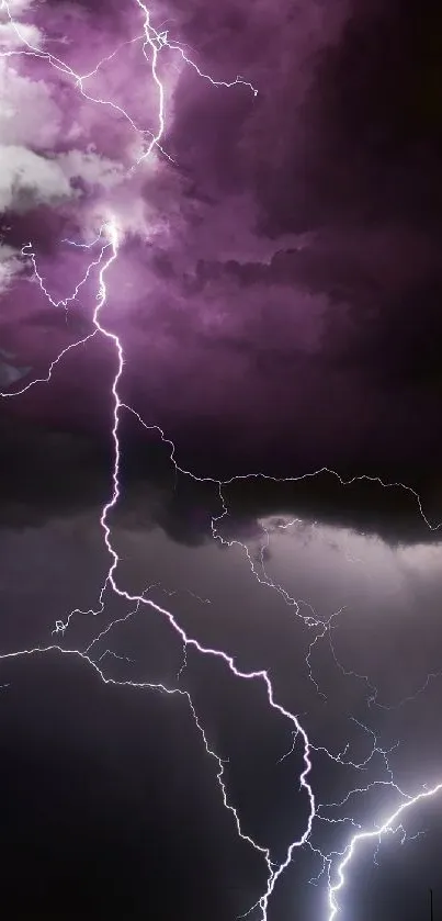 Purple lightning bolts illuminate a dark stormy sky.